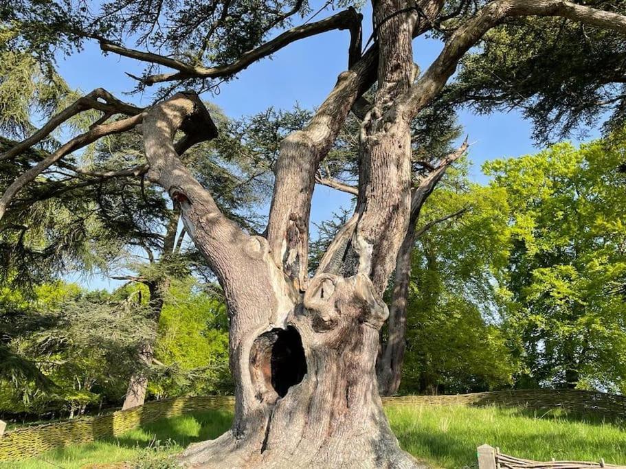 Masons Cottage, An Idyllic Retreat In An Area Of Outstanding Beauty, Close To Blenheim Palace, Oxford & The Cotswolds Stonesfield 外观 照片